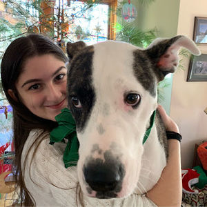 Meet your Posher, Sydney